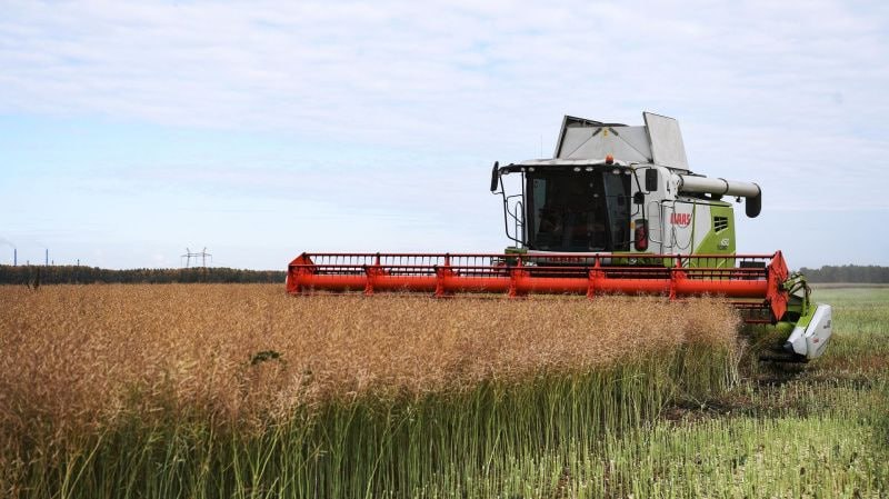 Аграрии Мордовии получат свыше 150 миллионов рублей в виде государственной поддержки 