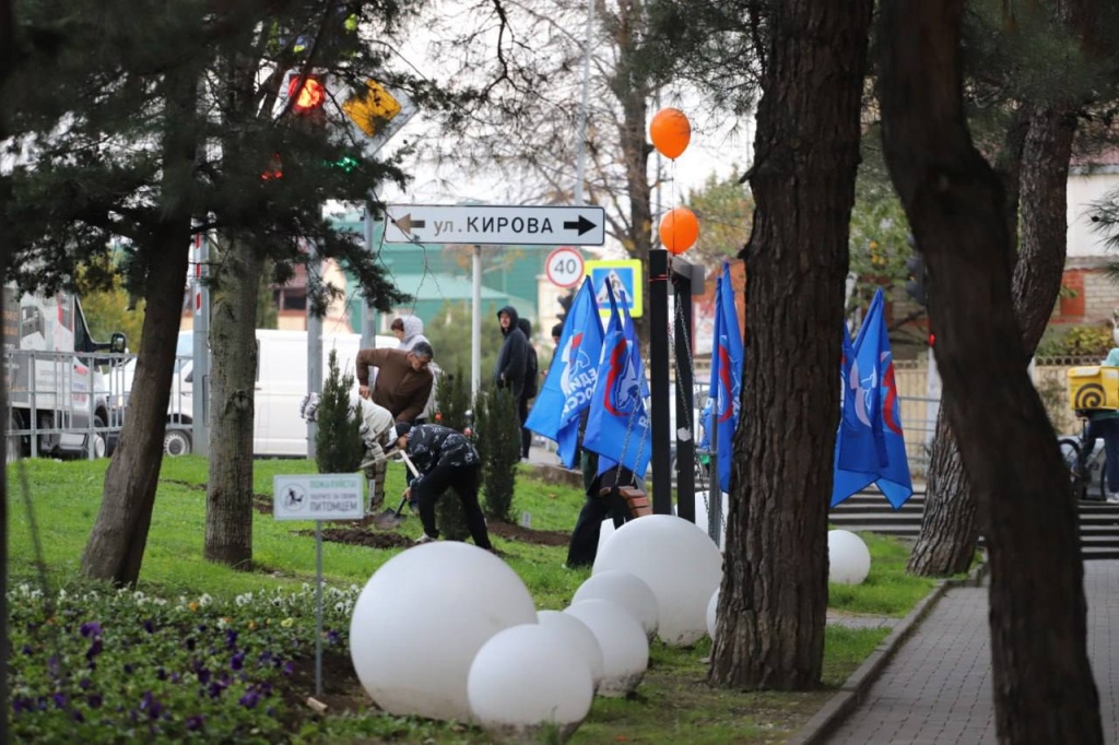 Геленджик озеленяют в рамках экопроекта «Дерево нашей семьи»