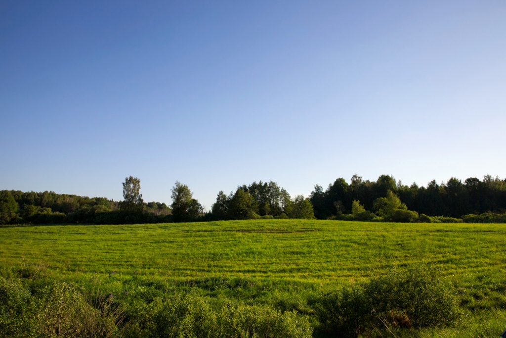 Прокуратура Ульяновска обсудила вопрос оснащения необходимой инфраструктурой земельных участков для многодетных семей