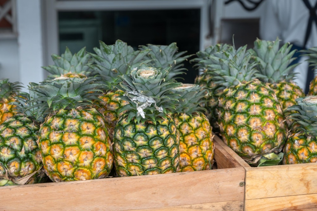 В Красноярск привезли 19 тонн зараженных ананасов из Китая