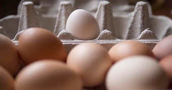 В Ивановской области в первом полугодии почти на 10% выросло производство яиц